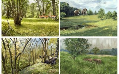 Substantial light woodland and open vegetation characterized the temperate forest biome before Homo sapiens