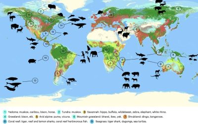Trophic Rewilding Can Expand Natural Climate Solutions