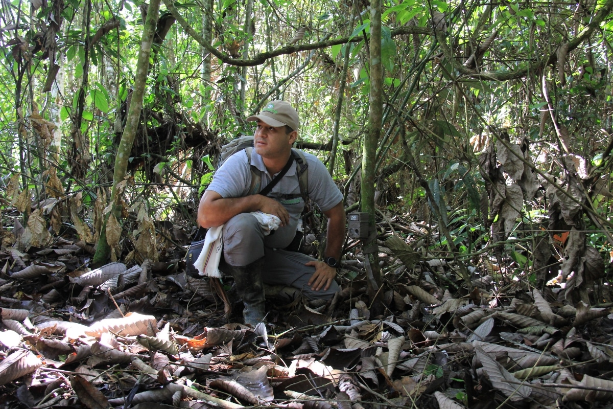 setting a Camera Trap. Credit: WebConserva