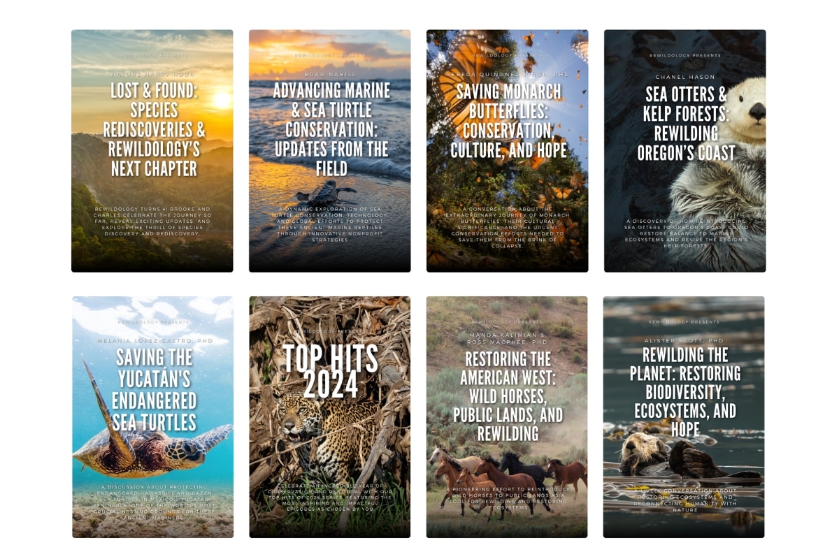 Rewildology episodes