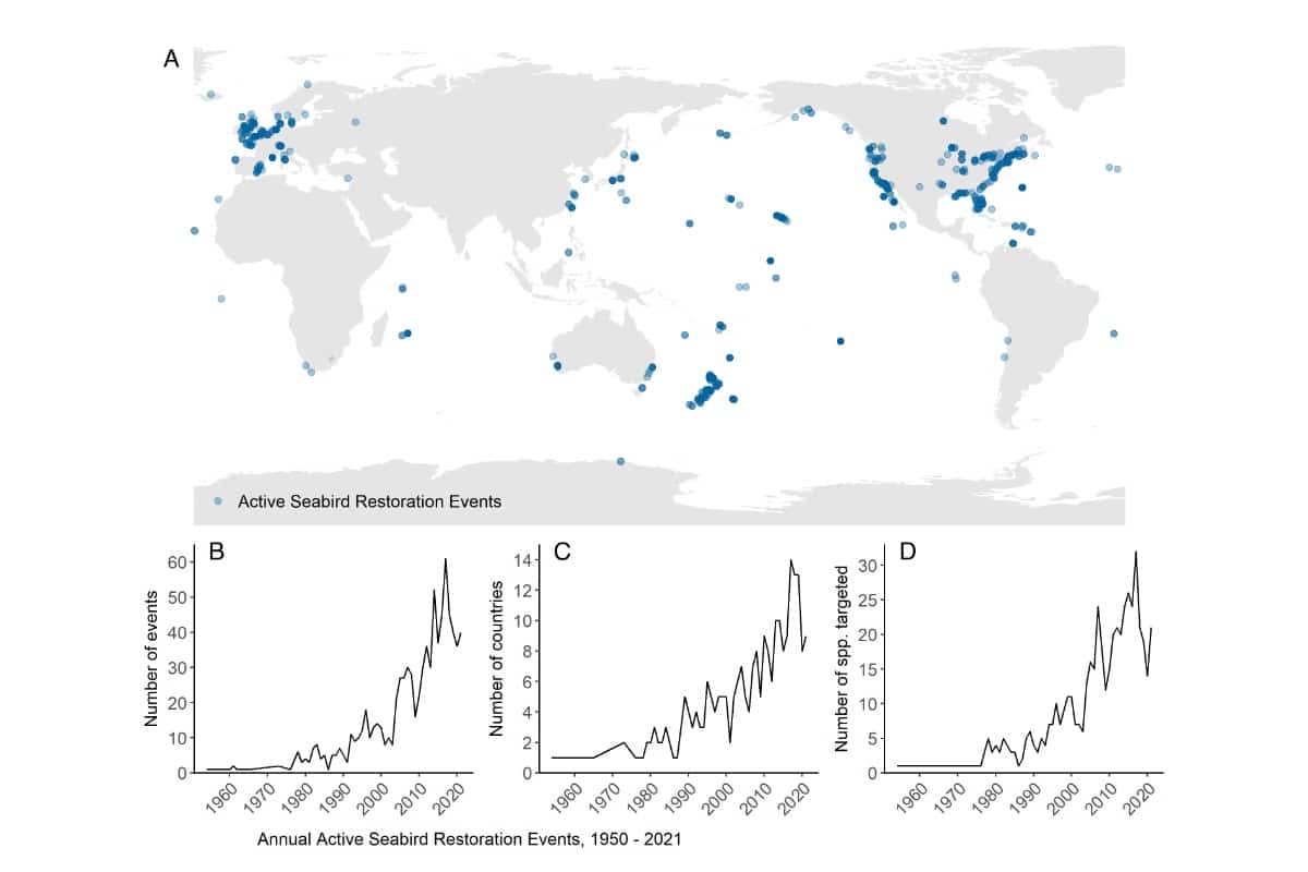Tracking the global application of conservation translocation and social attraction to reverse seabird declines
