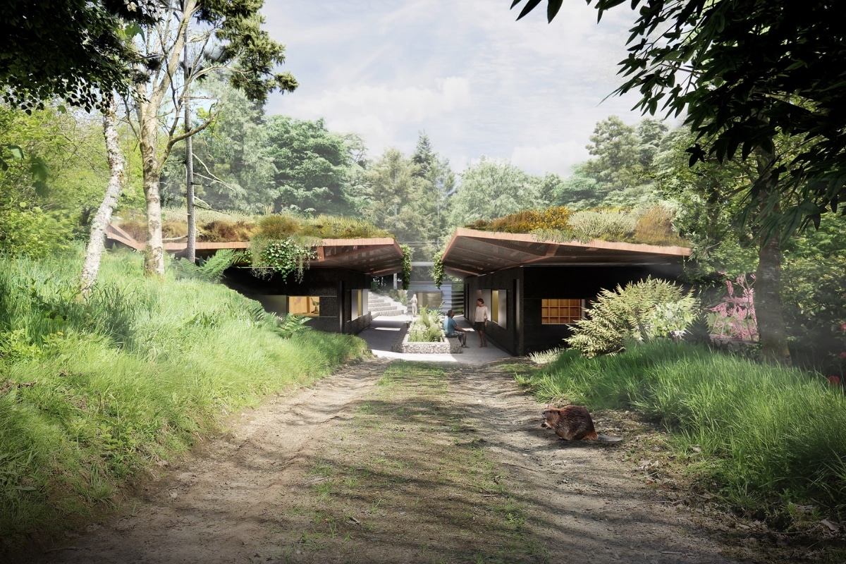 The design for Europe’s first Atlantic Temperate Rainforest Research Station 