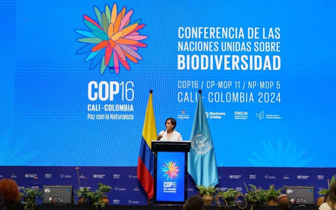 COP16 credit: United Nations Convention on Biological Diversity