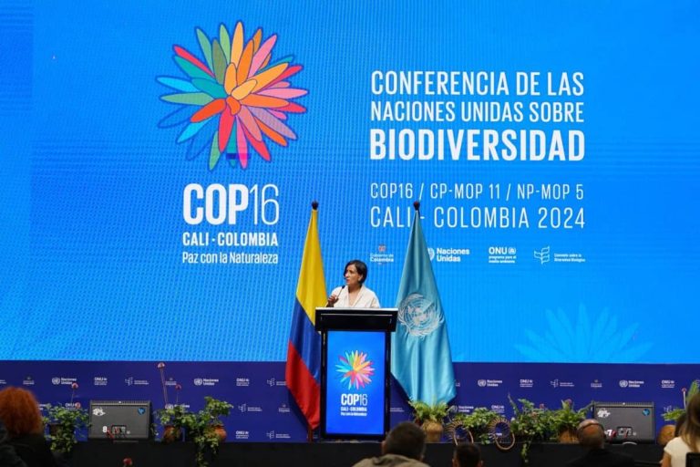 COP16 credit: United Nations Convention on Biological Diversity