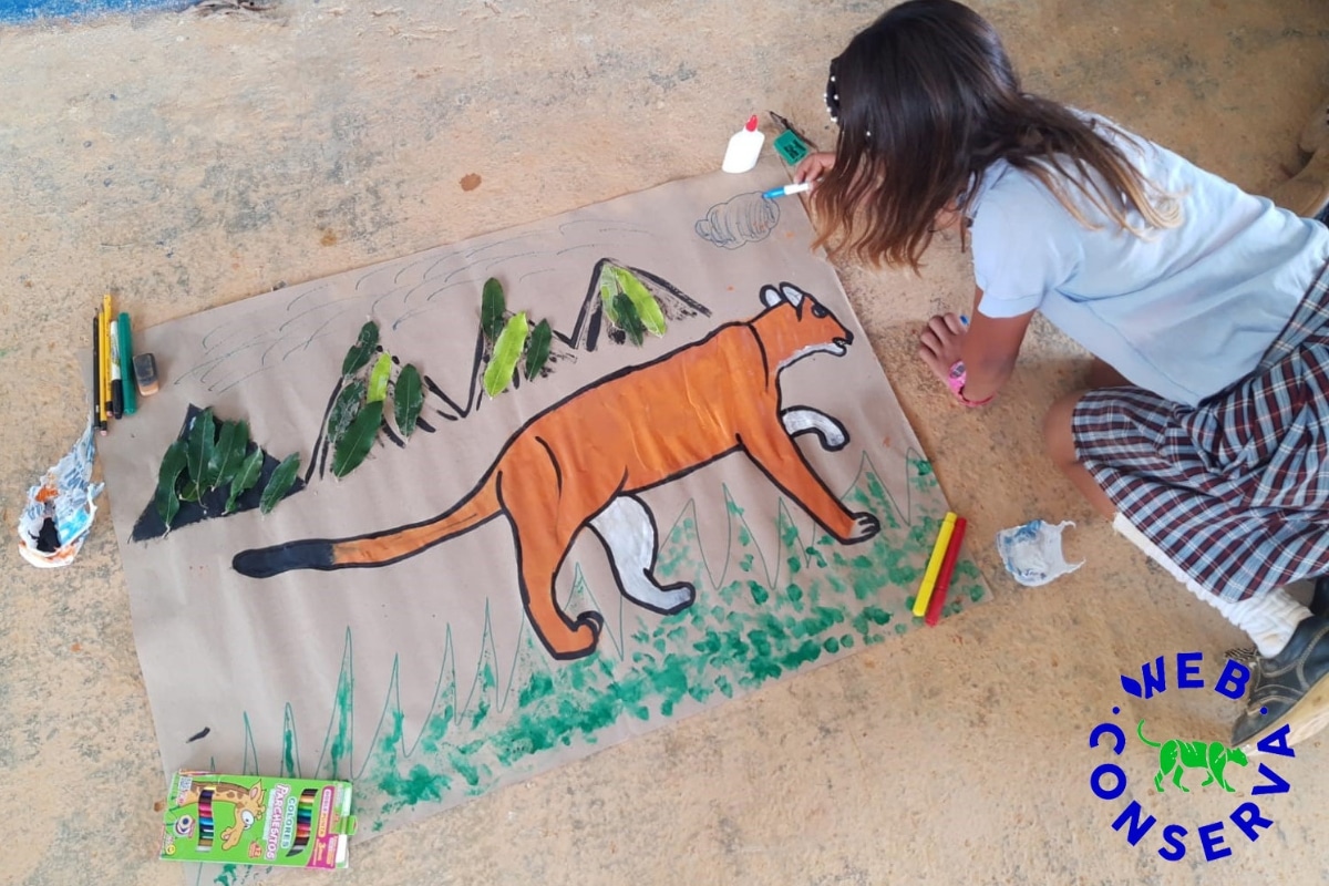 Jaguar drawing. Credit: WebConserva