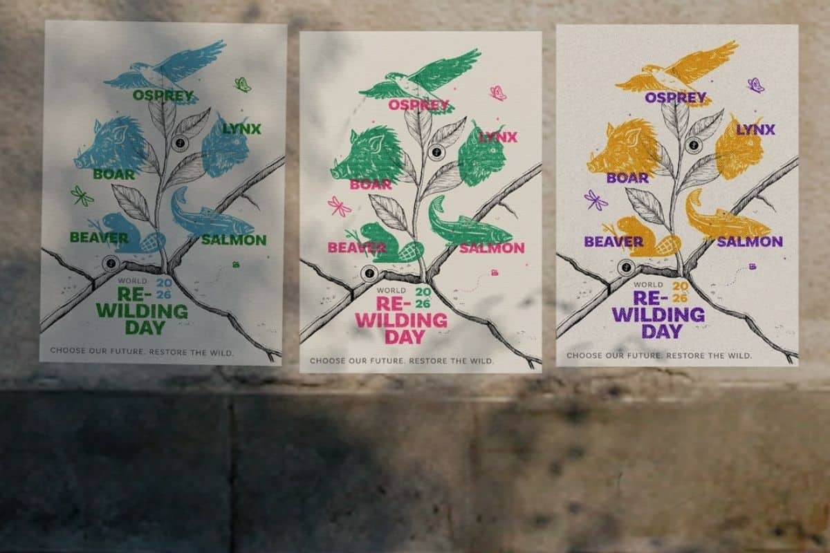 How we can Choose Our Future: a tidal wave of action on World Rewilding ...