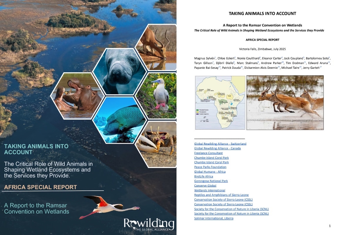 Africa Wetlands Report GRA screenshot
