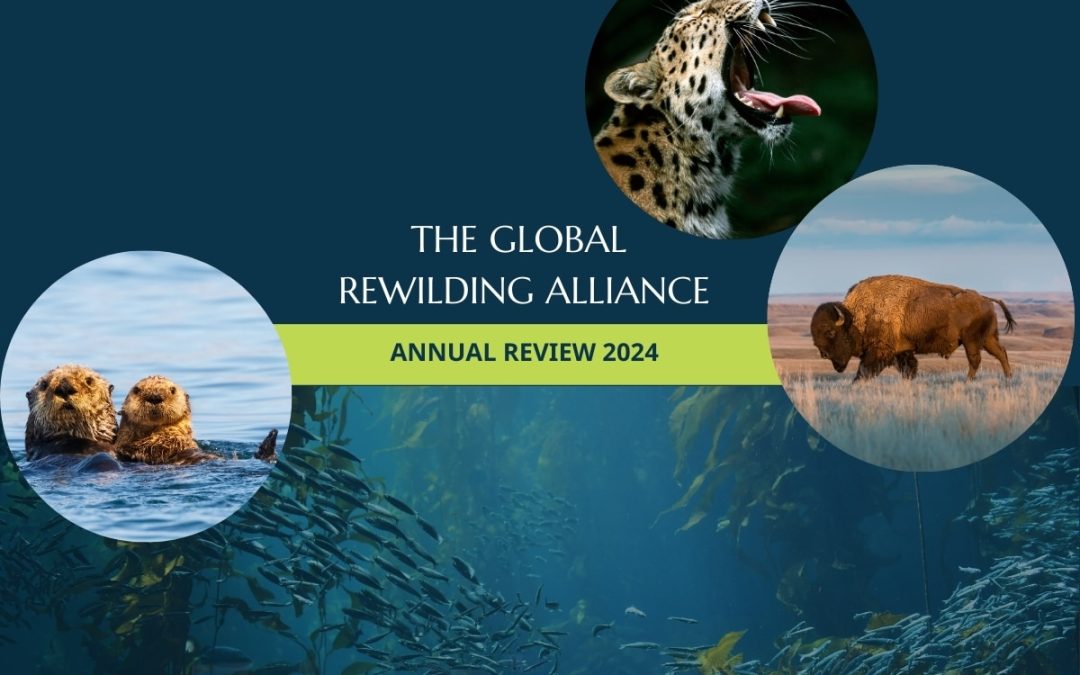Annual Report GRA