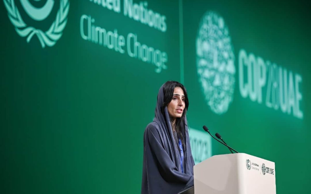 Picture of speaker at COP 28 event
