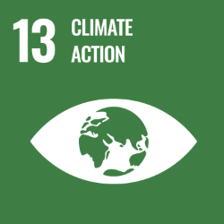 UN Sustainable Development Goal 13 (SDG 13) icon - Climate Action