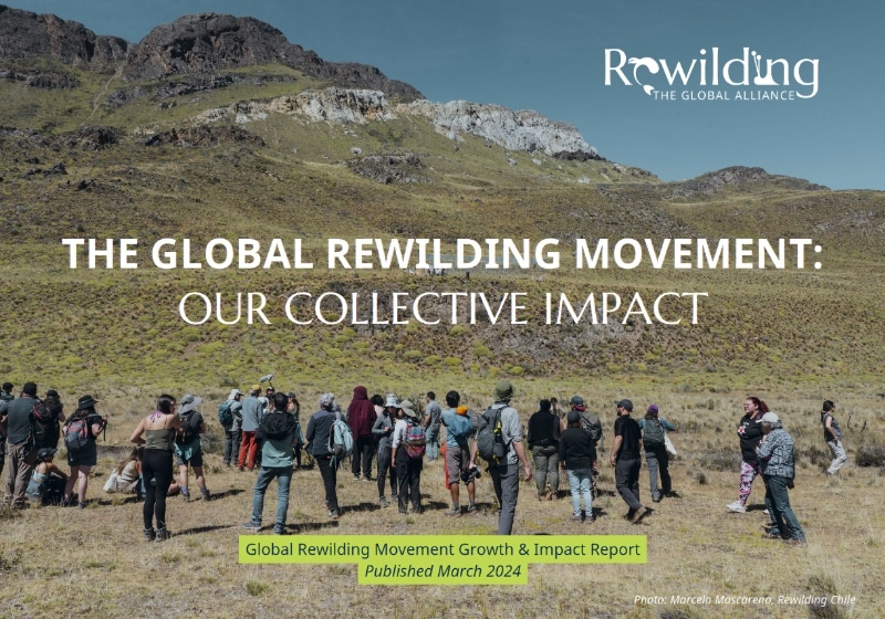 GRA Impact Report 2024 screenshot