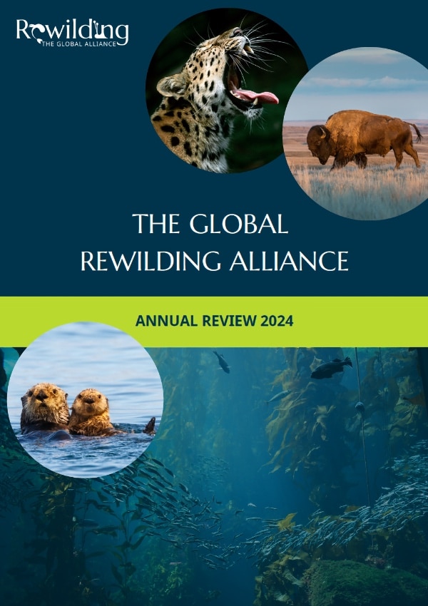 GRA Annual Report 2024