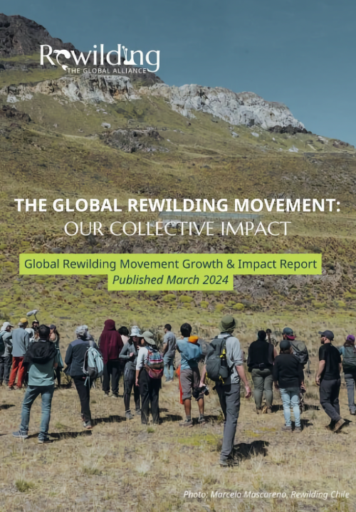 Global Rewilding Collective Impact Report