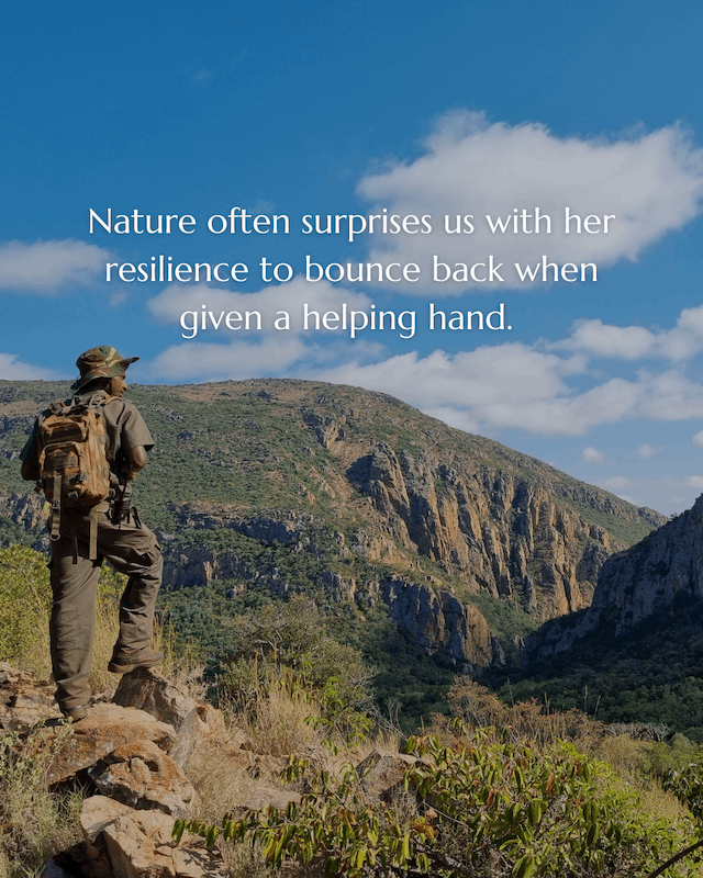 Golden Mole rediscovery 9