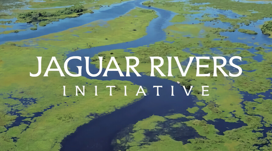 Jaguar Rivers rewilding success banner