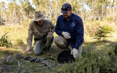 2024 World Rewilding Day Theme Announced: Hope Into Action