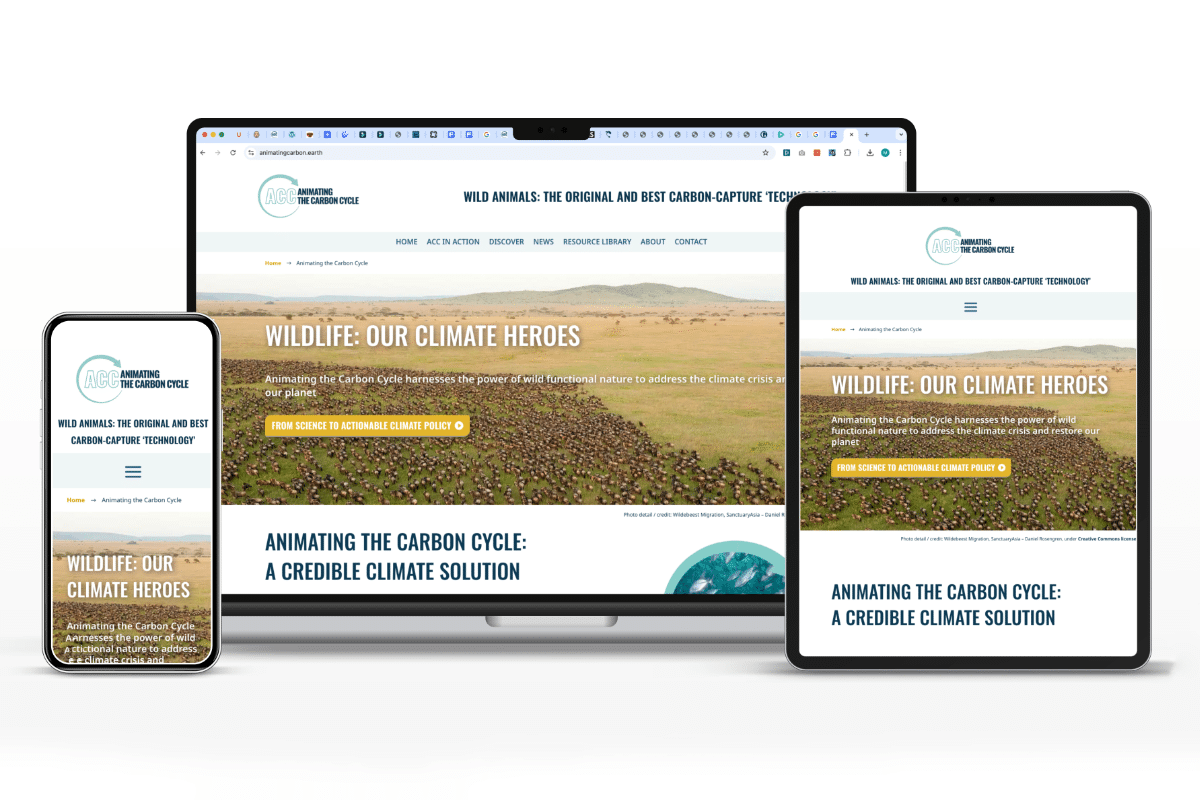 Animating the Carbon Cycle website