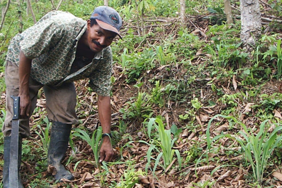 Inga Foundation: Heal Land for Farming and Nature Recovery - The Global ...