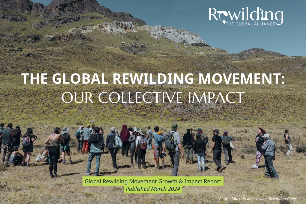 The Global Rewilding Movement: Our Collective Impact