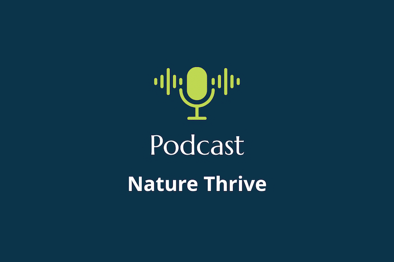 Rewilding, what&rsquo;s it all about? | Alister Scott