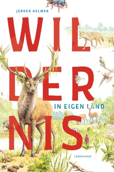 Wildernis in Eigen Land