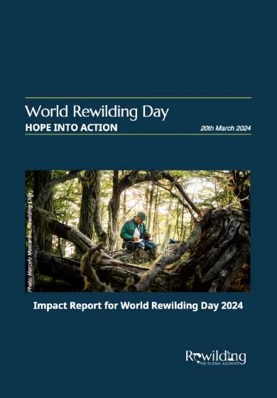 World Rewilding Day 2024 Impact Report screenshot