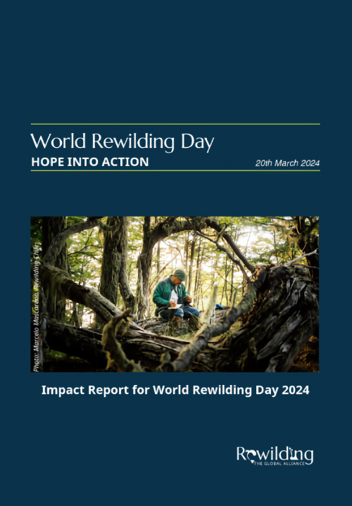2024: World Rewilding Day Impact Report